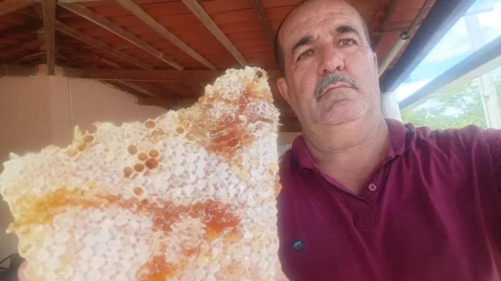 Valtinho de Argemiro fortalece a apicultura no Cariri com a marca “Mel do Cariri” em Monteiro-PB
